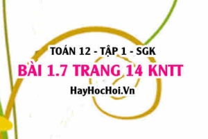 Bài 1.7 trang 14 Toán 12 tập 1 Kết nối tri thức